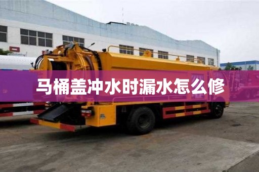 馬桶蓋沖水時漏水怎么修