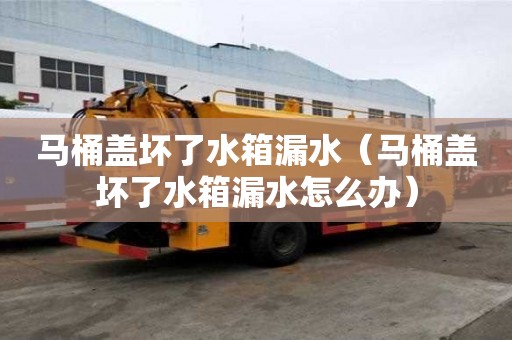 馬桶蓋壞了水箱漏水（馬桶蓋壞了水箱漏水怎么辦）