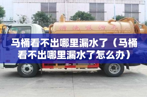 馬桶看不出哪里漏水了（馬桶看不出哪里漏水了怎么辦）