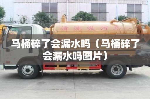 馬桶碎了會(huì)漏水嗎（馬桶碎了會(huì)漏水嗎圖片）