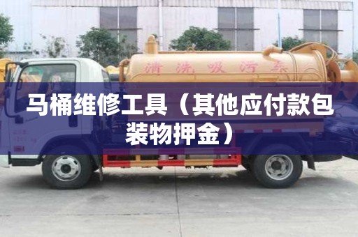 馬桶維修工具（其他應(yīng)付款包裝物押金）