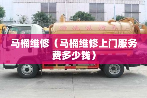 馬桶維修（馬桶維修上門服務(wù)費多少錢）