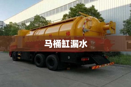 馬桶缸漏水