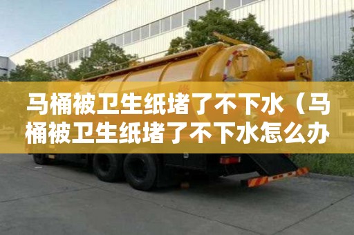 馬桶被衛(wèi)生紙堵了不下水（馬桶被衛(wèi)生紙堵了不下水怎么辦）