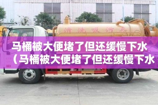 馬桶被大便堵了但還緩慢下水（馬桶被大便堵了但還緩慢下水怎么才能疏通）