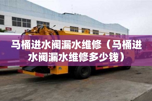 馬桶進水閥漏水維修（馬桶進水閥漏水維修多少錢）