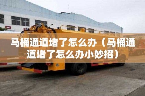 馬桶通道堵了怎么辦(馬桶通道堵了怎么辦小妙招) 馬桶通道堵了怎么辦(馬桶通道堵了怎么辦小妙招)
