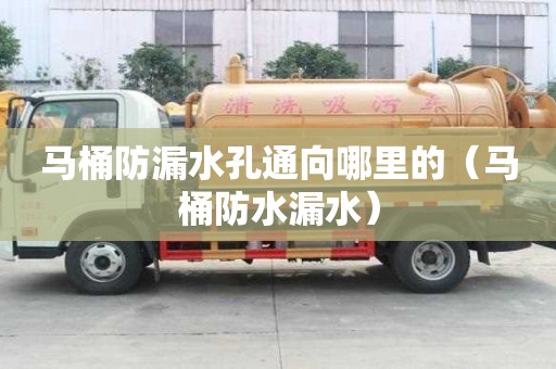 馬桶防漏水孔通向哪里的（馬桶防水漏水）