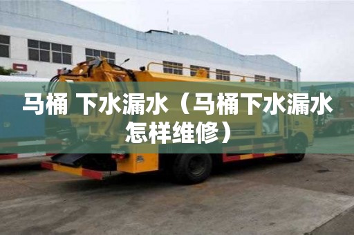 馬桶 下水漏水（馬桶下水漏水怎樣維修）