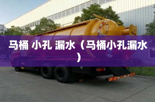 馬桶 小孔 漏水(馬桶小孔漏水) 馬桶 小孔 漏水(馬桶小孔漏水)