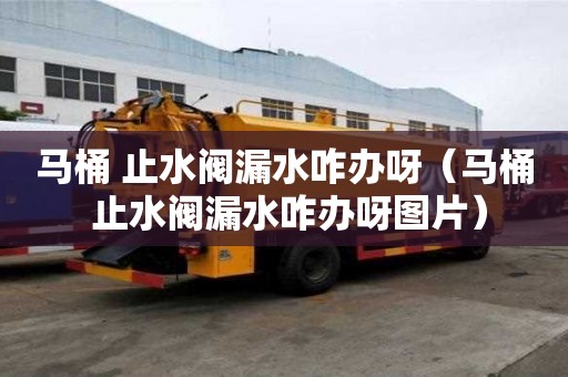 馬桶 止水閥漏水咋辦呀（馬桶 止水閥漏水咋辦呀圖片）