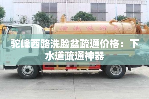 駝峰西路洗臉盆疏通價格：下水道疏通神器