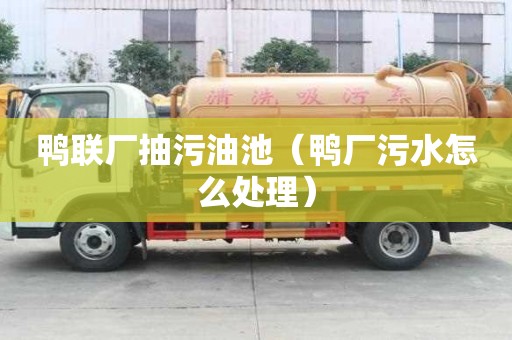 鴨聯(lián)廠抽污油池（鴨廠污水怎么處理）
