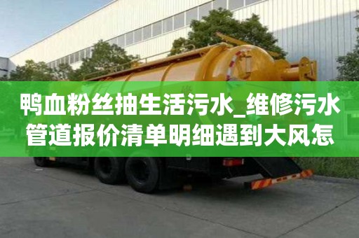鴨血粉絲抽生活污水_維修污水管道報(bào)價(jià)清單明細(xì)遇到大風(fēng)怎么辦