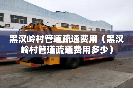 黑漢嶺村管道疏通費(fèi)用（黑漢嶺村管道疏通費(fèi)用多少）