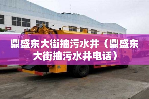鼎盛東大街抽污水井（鼎盛東大街抽污水井電話）