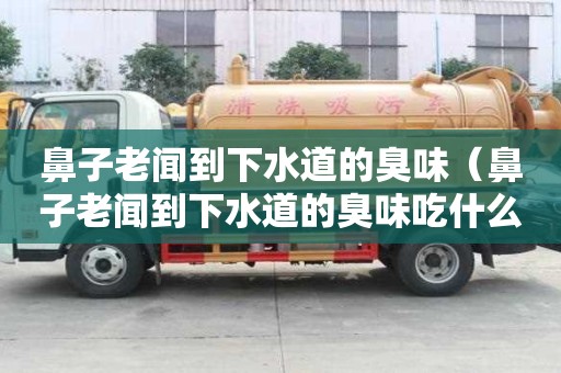 鼻子老聞到下水道的臭味（鼻子老聞到下水道的臭味吃什么藥）