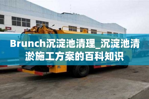 Brunch沉淀池清理_沉淀池清淤施工方案的百科知識