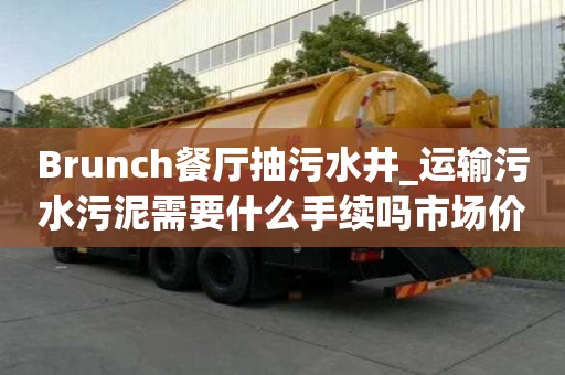 Brunch餐廳抽污水井_運輸污水污泥需要什么手續嗎市場價格