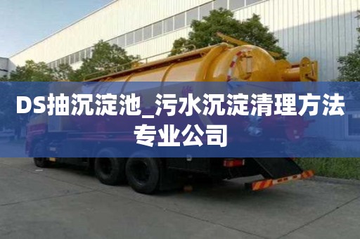DS抽沉淀池_污水沉淀清理方法專業公司