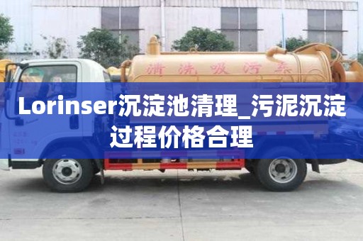 Lorinser沉淀池清理_污泥沉淀過程價格合理