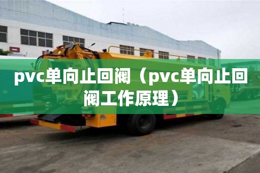pvc單向止回閥(pvc單向止回閥工作原理) pvc單向止回閥(pvc單向止回閥工作原理)