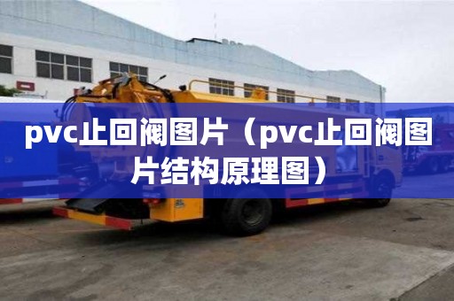 pvc止回閥圖片（pvc止回閥圖片結構原理圖）