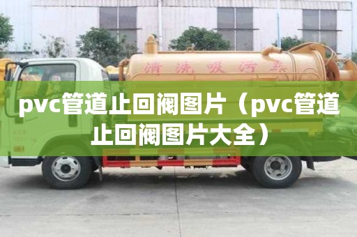 pvc管道止回閥圖片（pvc管道止回閥圖片大全）