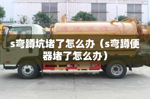 s彎蹲坑堵了怎么辦（s彎蹲便器堵了怎么辦）