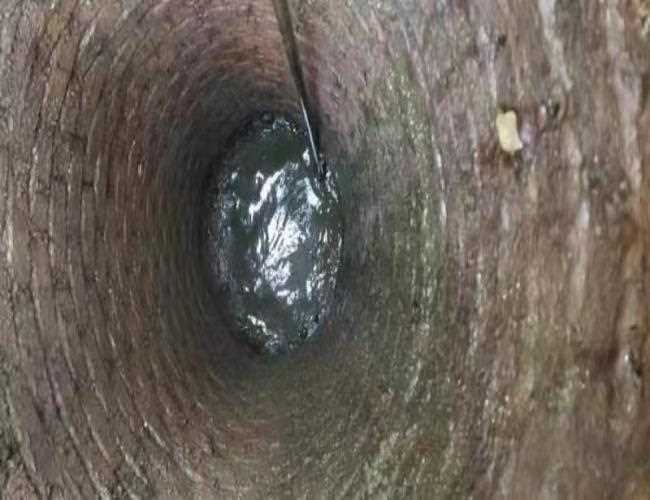臺盆下水道有臭怎么辦抽氧化池污水電話號碼