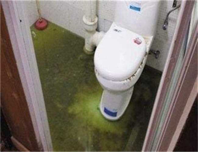 水管維修工(郭童童水管維修工)